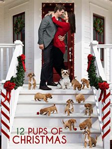 Poster for the movie 12 Pups Of Christmas featuring a Yorkie dog actor and 11 puppies