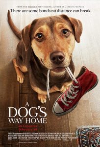 Poster for the movie A Dog's Way Home featuring Shelby the dog actor